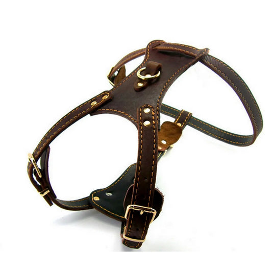 Pet Harness Leather Chest Straps Collar