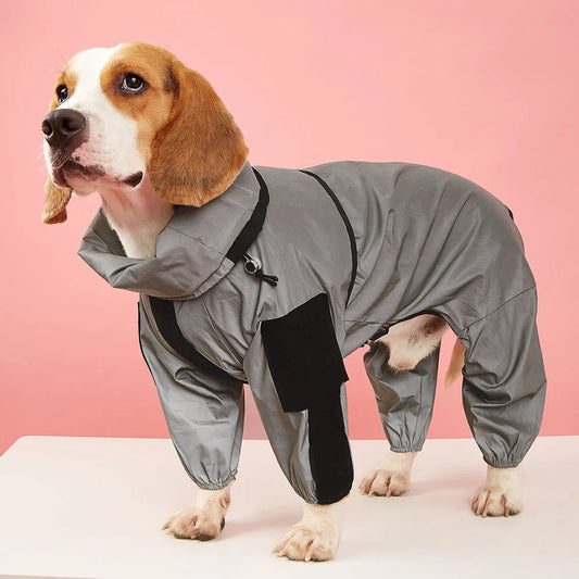 dog raincoat, dog rain jacket, rain coat for dogs, pet jacket, pet coat, pet raincoat, dog coats, dog jacket, waterproof dog coat, dog coats for winter, dog jackets for winter