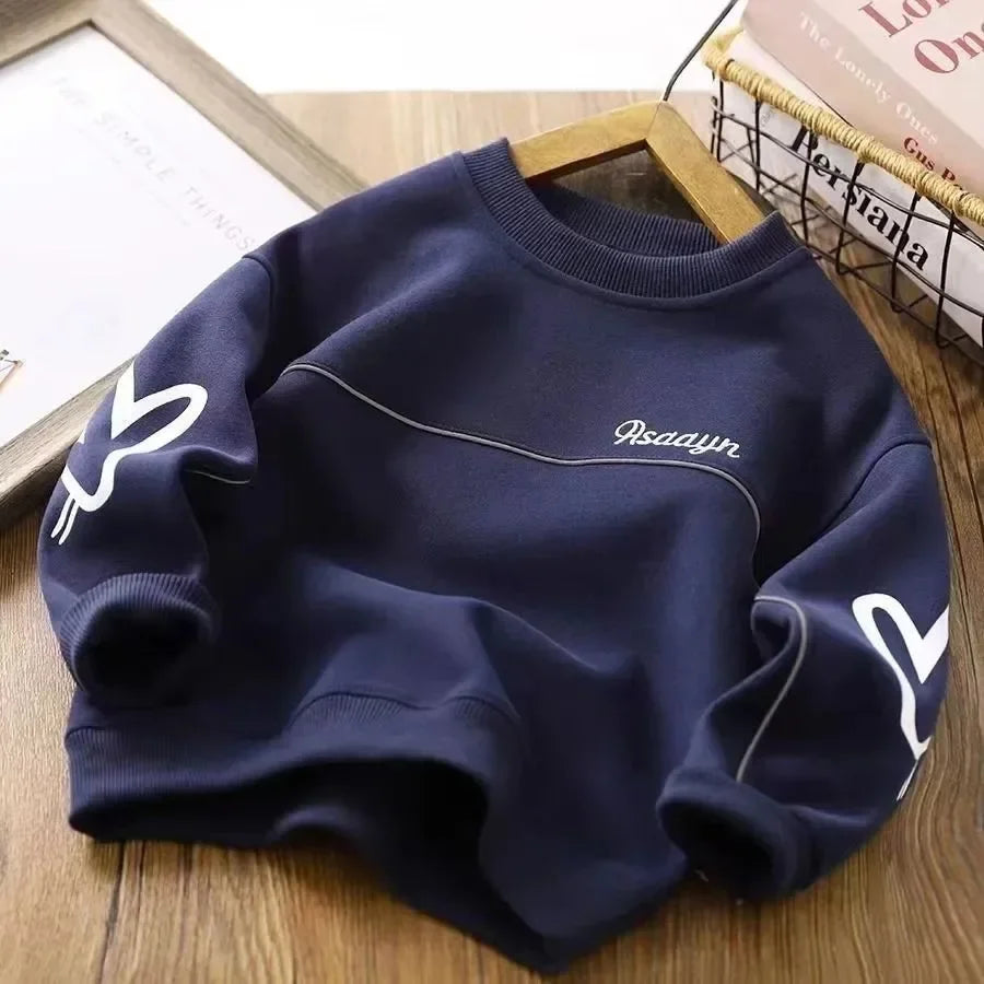 Boy's Long Sleeve Crew Neck Spring Autumn Sweater