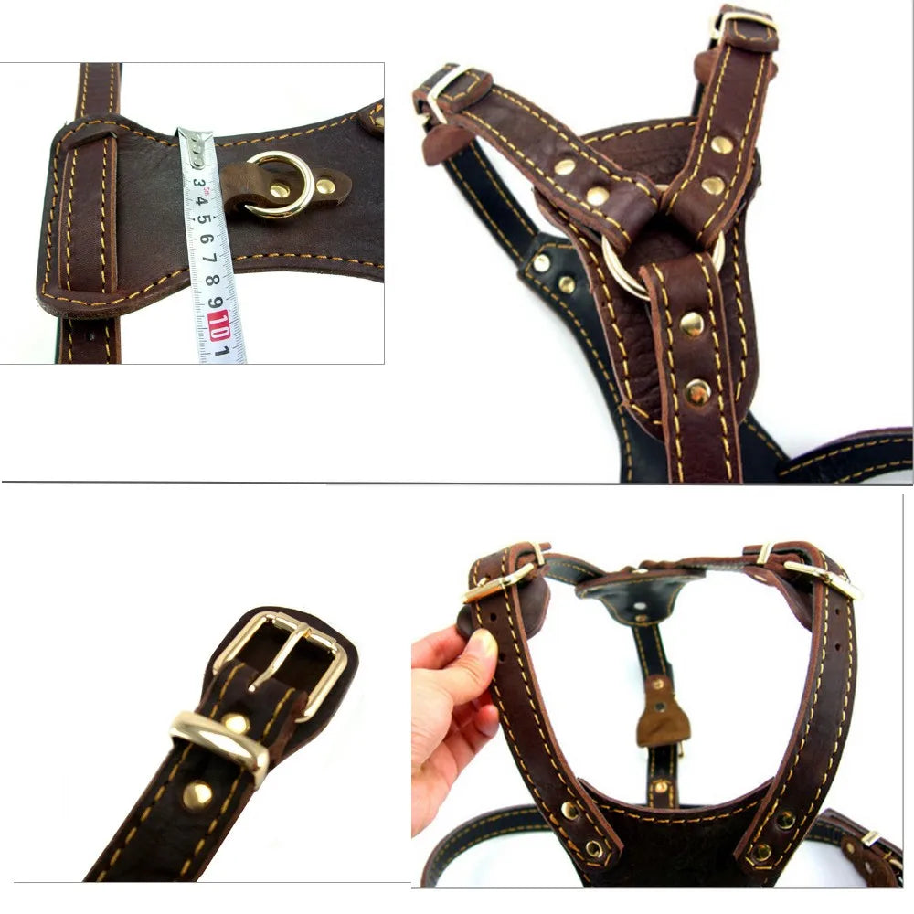 Pet Harness Leather Chest Straps Collar