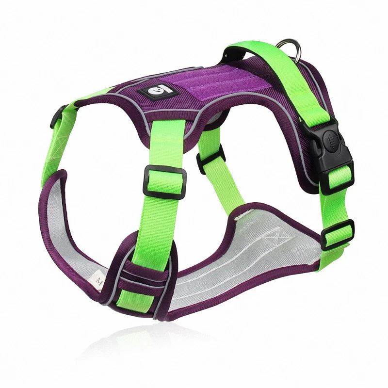 Pet harness