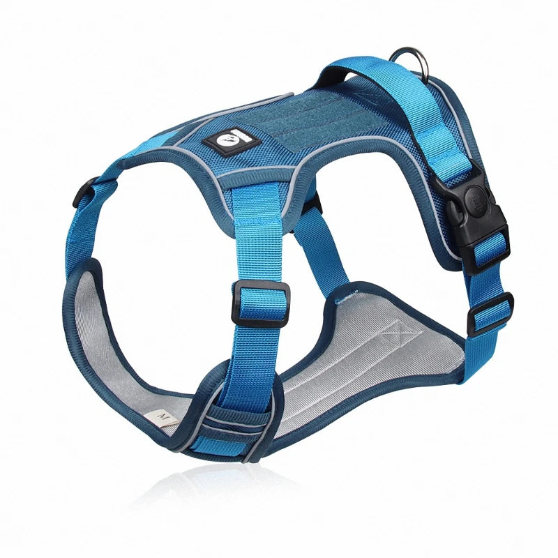 Pet harness
