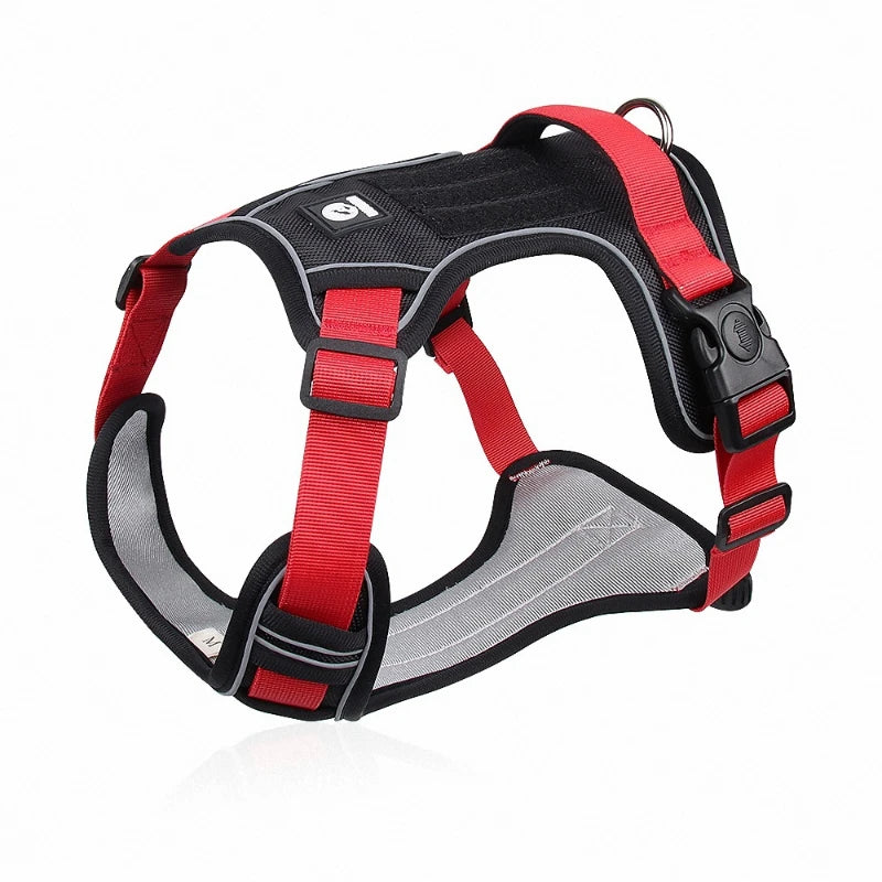 Pets harness