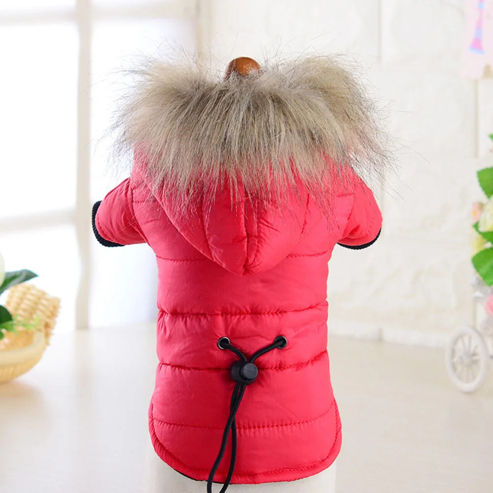 Windproof Padded Winter Dog Coat