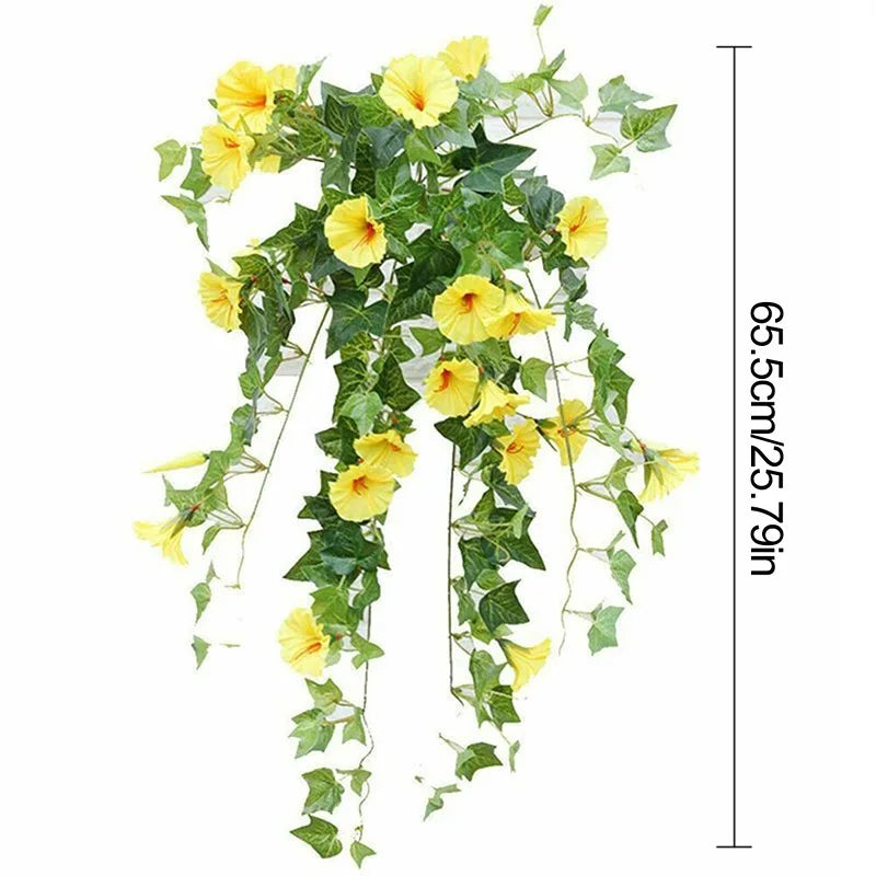 12 Fork Morning Glory Hanging Plants for Home & Garden