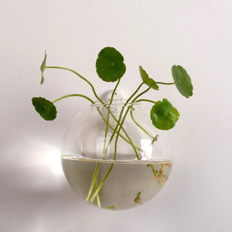 Transparent Glass Wall Hanging Vase for Home Decor