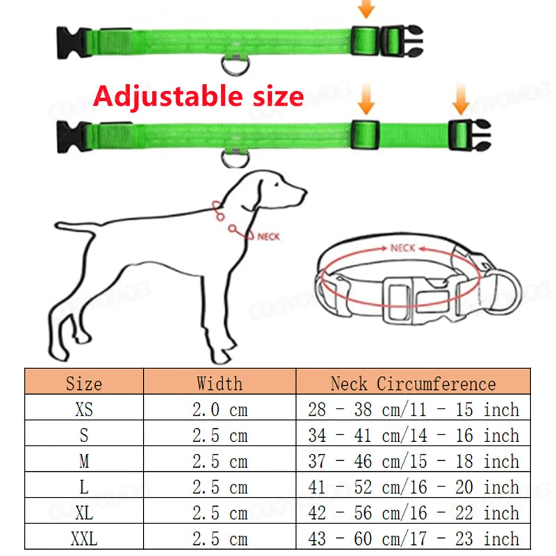 Night LED Glowing USB Pets Leash