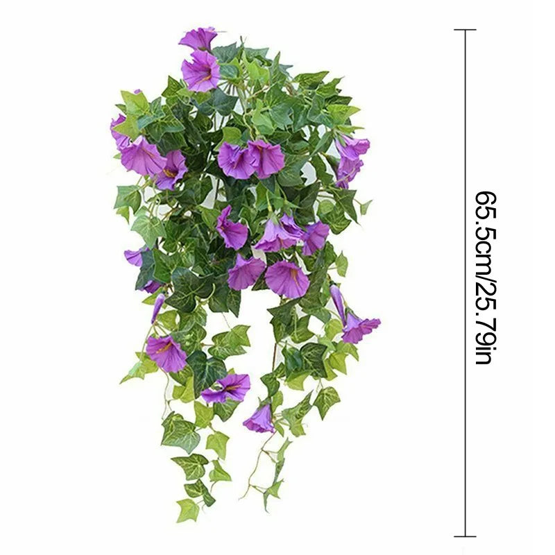 12 Fork Morning Glory Hanging Plants for Home & Garden