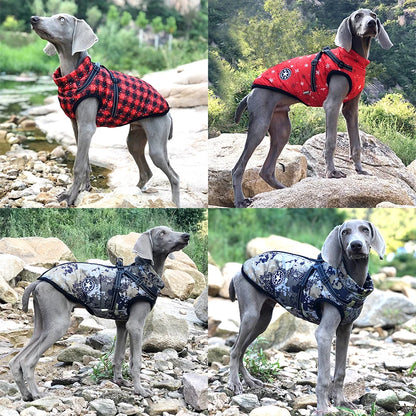 Große Hundejacke