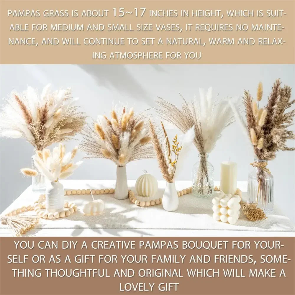 Natural Dried Flowers Pampas Floral Bouquet Home Decoration Rabbit Tail Grass