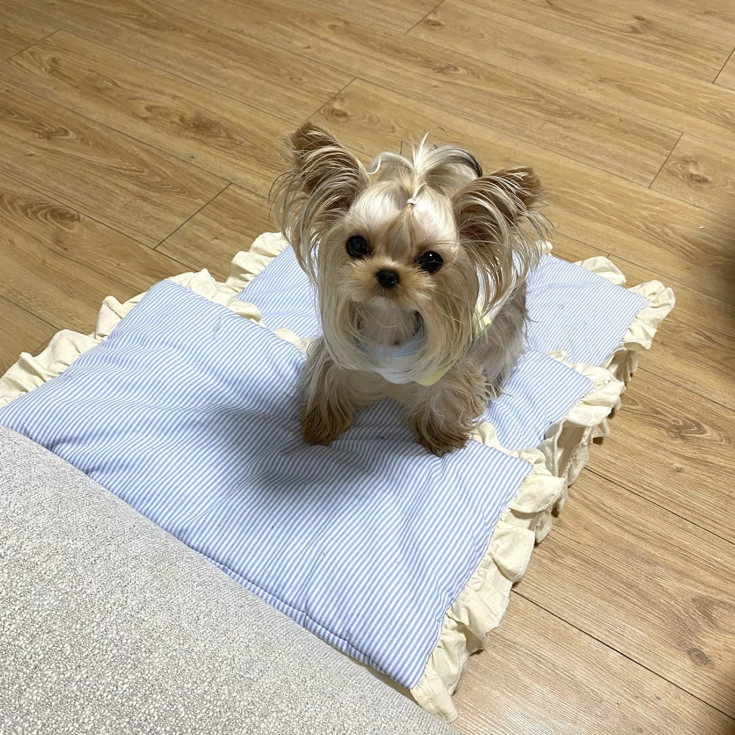 Double Step Cute Pets Bed