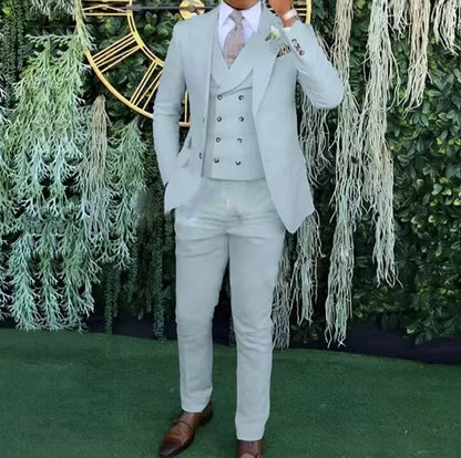 Weddings & Business Men's Slim Fit 3-Piece Suit