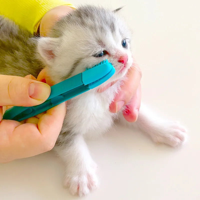 Brosse de nettoyage pour les yeux des animaux domestiques, brosse portative pour les taches de larmes