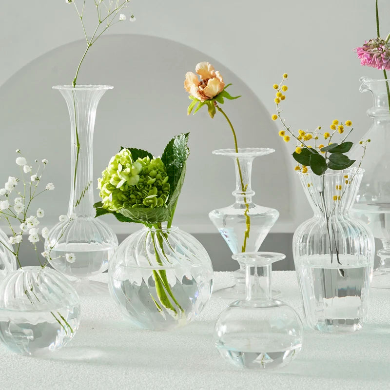 Modern Transparent Glass Vase Set for Home