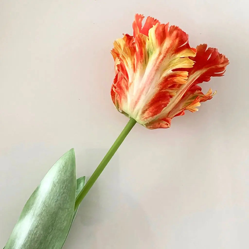 1 Pc Colorful Real Touch Parrot Tulip Bouquet