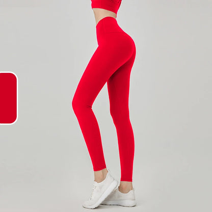 49691573944654|49691573977422|49691574010190