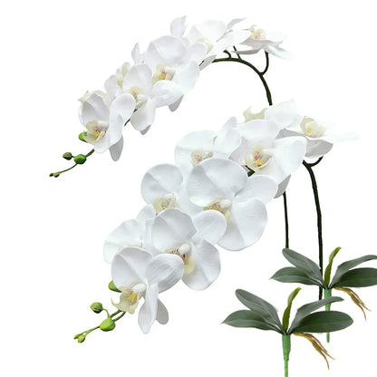 Real Touch Artificial Phalaenopsis Orchid Stems