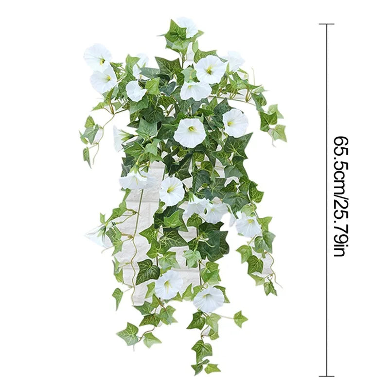 12 Fork Morning Glory Hanging Plants for Home & Garden