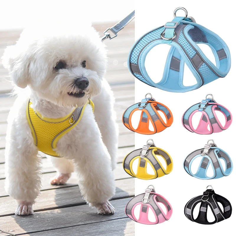 Heavy Duty Front Clip Pets Collar