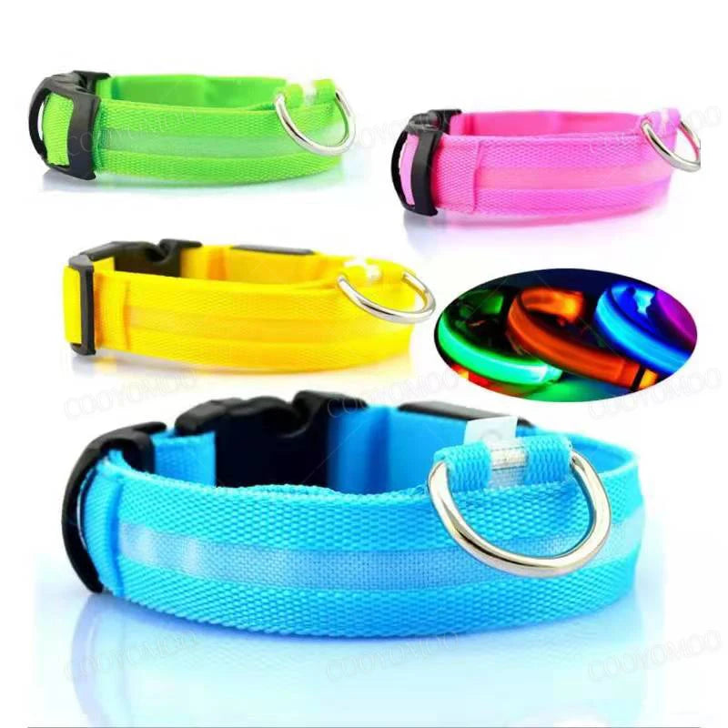 dog collar, dog leash, pet collars, puppy collars, small dog collars, leather dog collar, light up dog collar, led dog collar, large dog collars