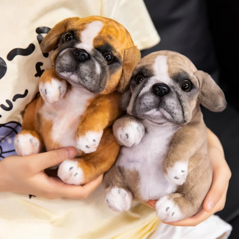 Jouet en peluche pour chien