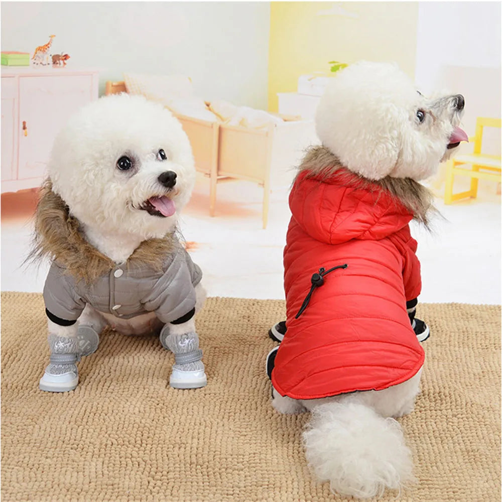 Windproof Padded Winter Dog Coat