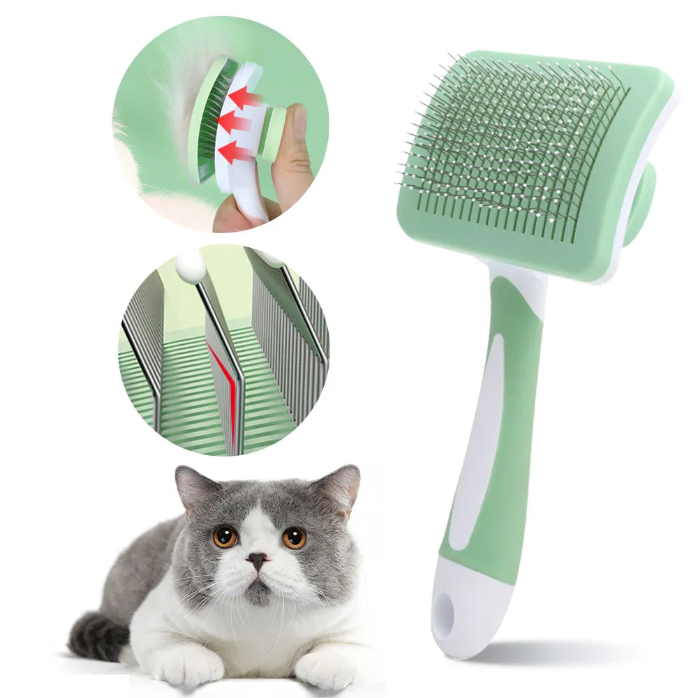 brush hair, hot brush, bristle brush, dog comb, cat comb, dog brush, cat hair brush, pet grooming, pet brush, dog hair remover