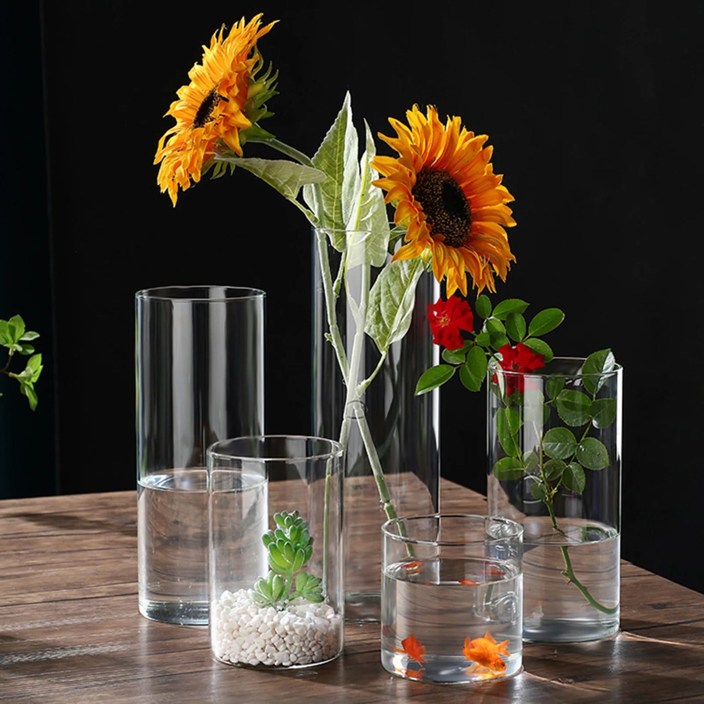 Hydroponische Blumenvase aus Glas – transparente, minimalistische Blumenvase