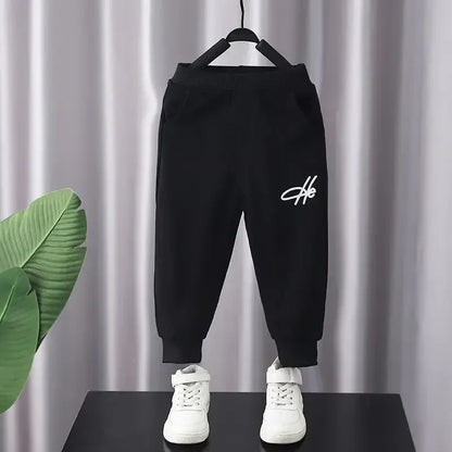 Baby Boy Long Sleeve Sweater Vest