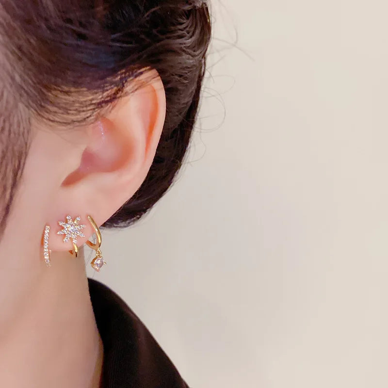 Luxury Claw Ear Rake Zircon Earrings for Women