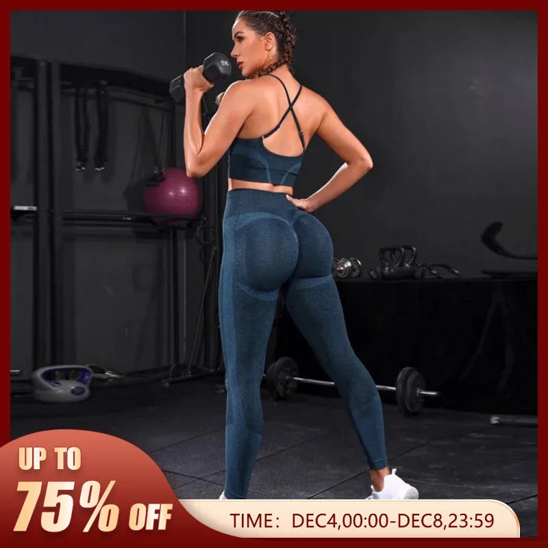 2 Piece Women's Tracksuit Seamless Yoga Set