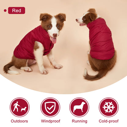 Winterjacke für Hunde