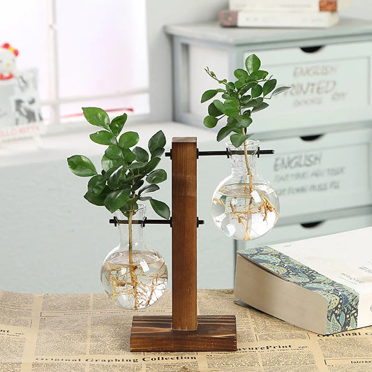 vase de plante hydroponique de terrarium de table en verre vintage