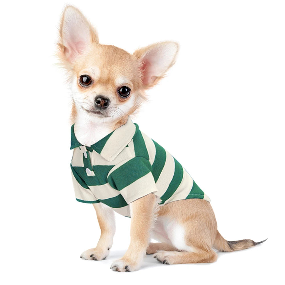 pet tshirts, shirt for dog, dog shirt, pet shirt, pet clothes, dog sweaters, dog clothes