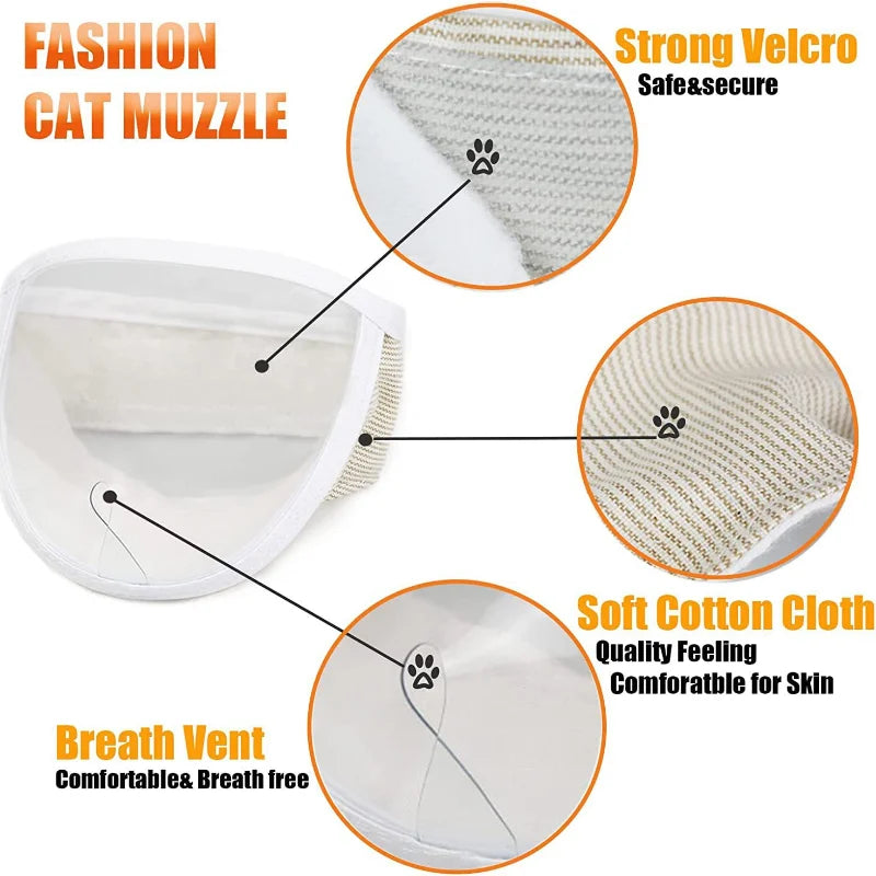 Bain transparent pour chat + coupe-ongles outils de toilettage auxiliaires