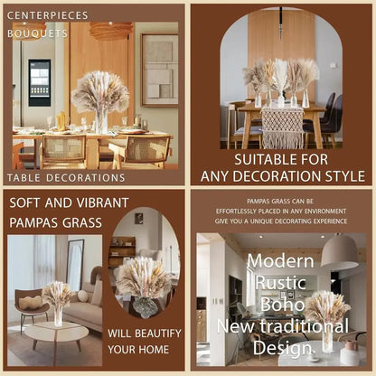 Bouquet de fleurs de pampa séchées naturelles Décoration d'intérieur Herbe à queue de lapin