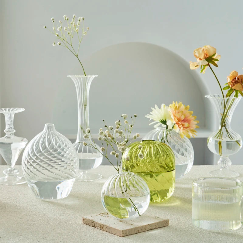 Modern Transparent Glass Vase Set for Home