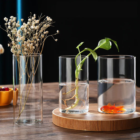 Hydroponic Glass Flower Vase - Transparent Minimalist Floral Vase