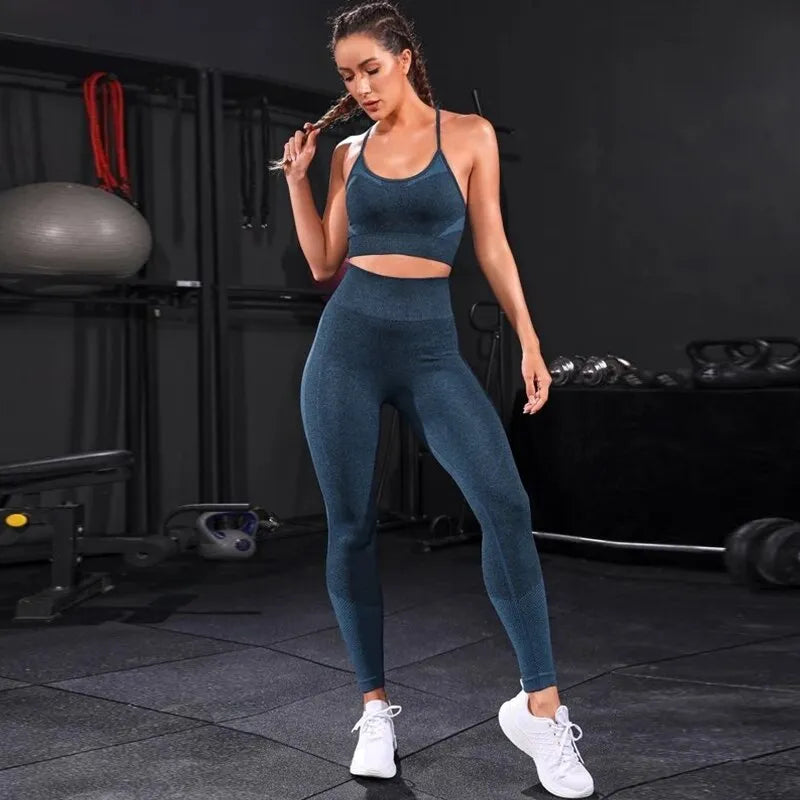 2 Piece Women's Tracksuit Seamless Yoga Set