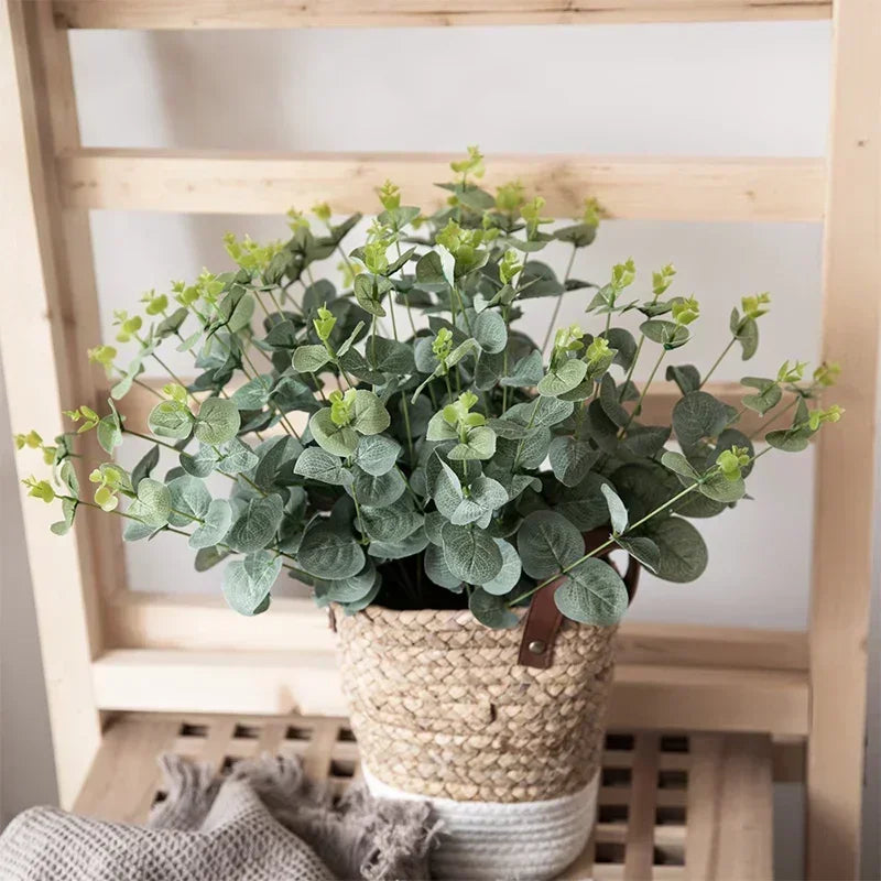 Silver Dollar Eucalyptus Leaves for Floral Decor