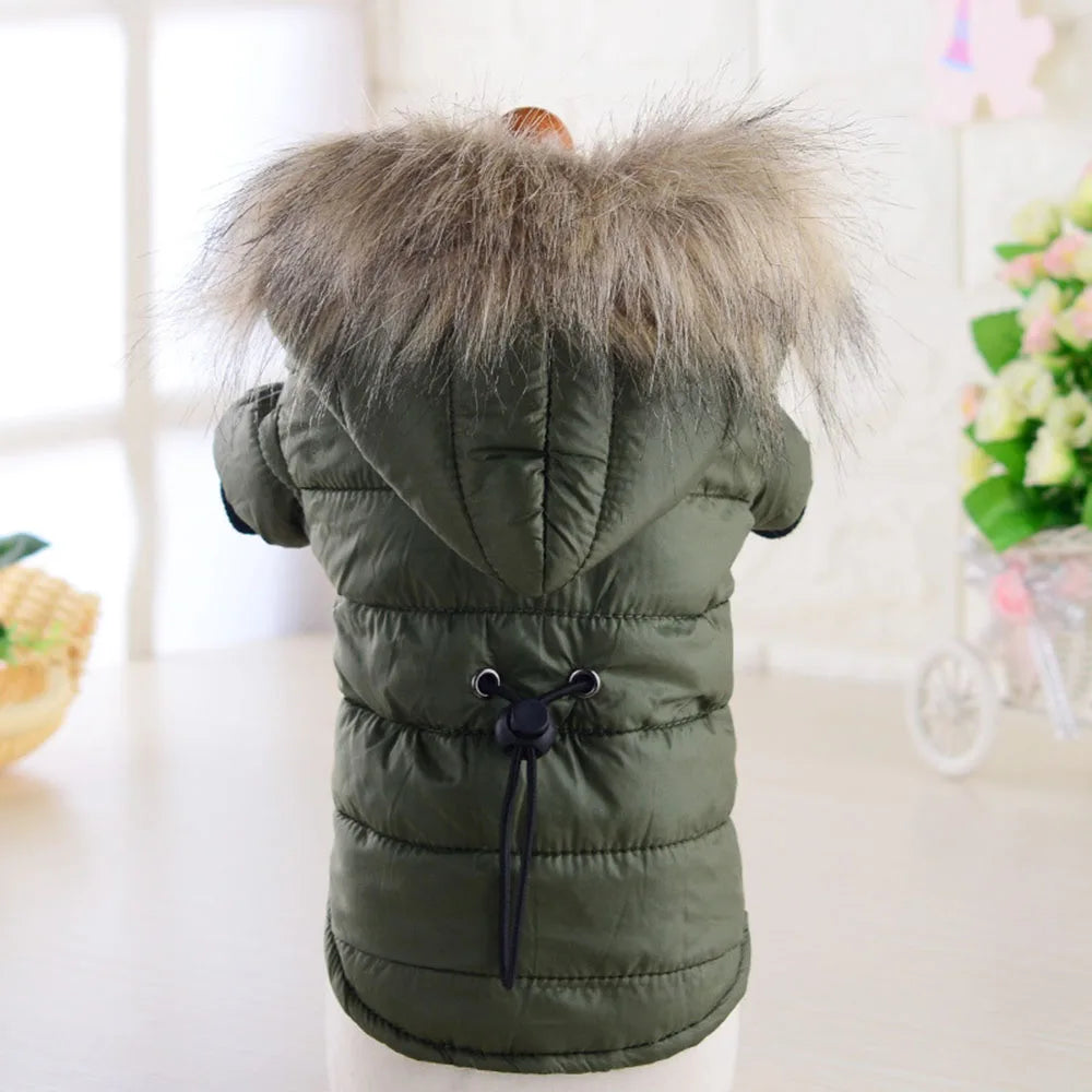 Windproof Padded Winter Dog Coat