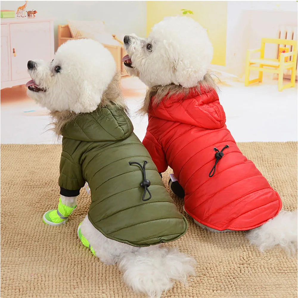 Windproof Padded Winter Dog Coat