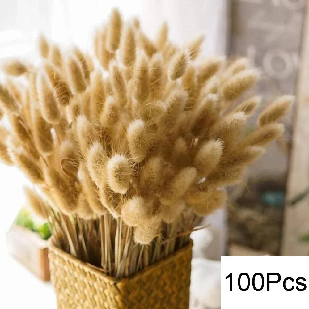 Natural Dried Flowers Pampas Floral Bouquet Home Decoration Rabbit Tail Grass