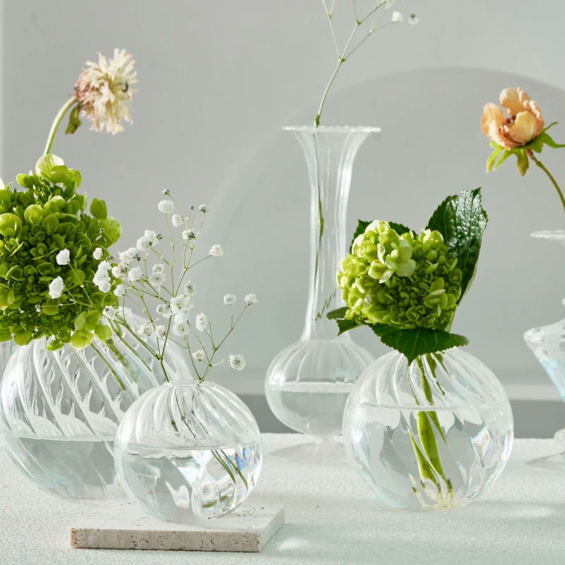 Modern Transparent Glass Vase Set for Home