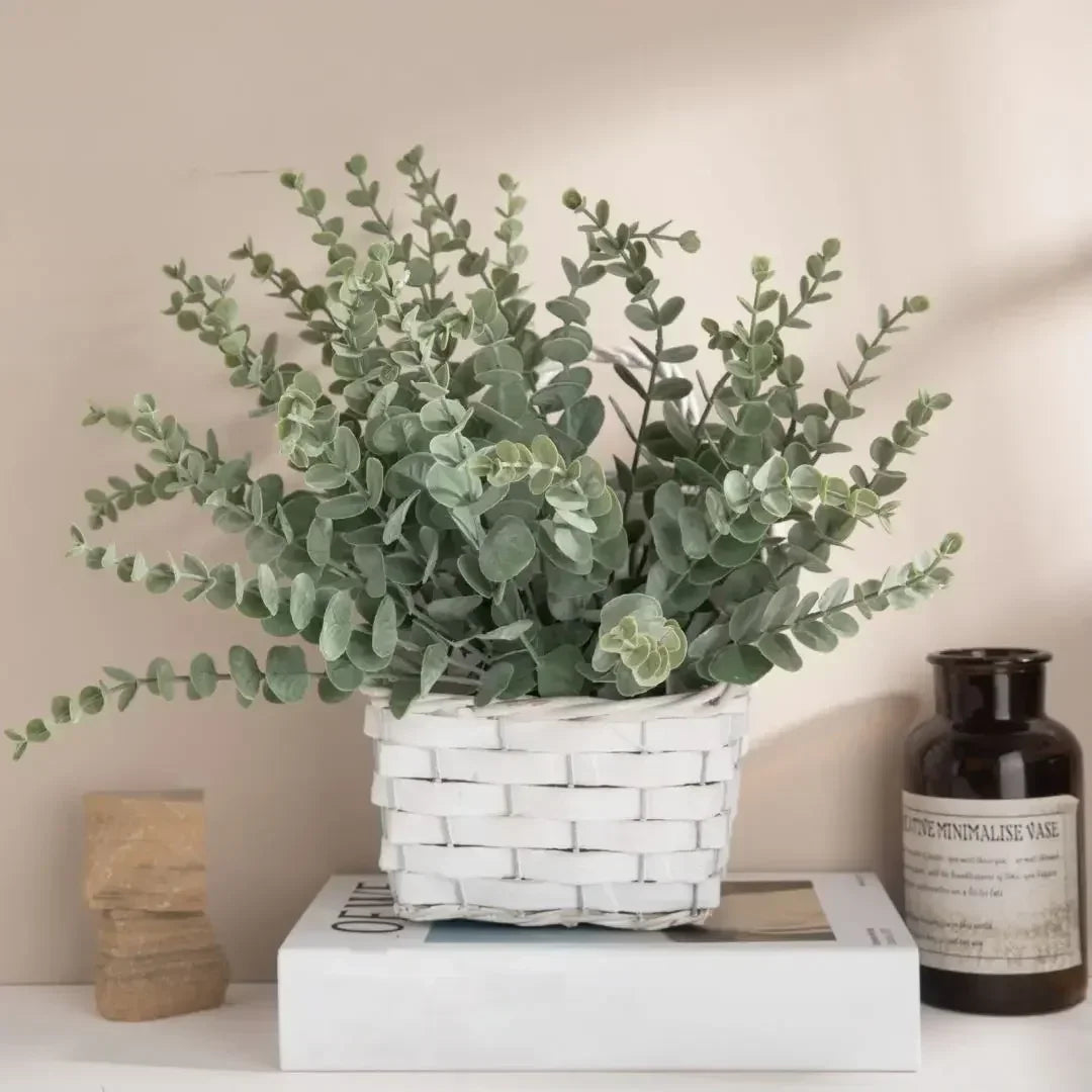 Silver Dollar Eucalyptus Leaves for Floral Decor