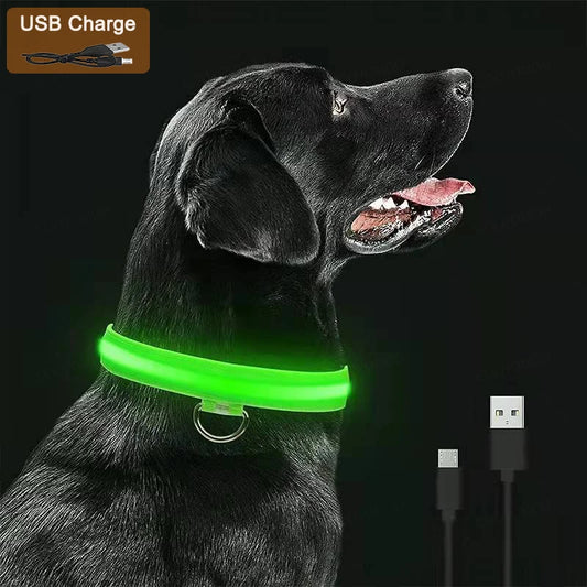 Night LED Glowing USB Pets Leash