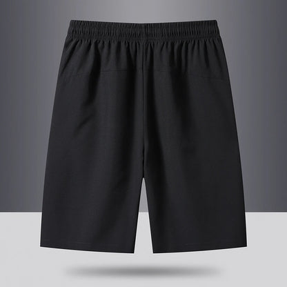 2024 Summer Men's Quick-Dry Beach Shorts