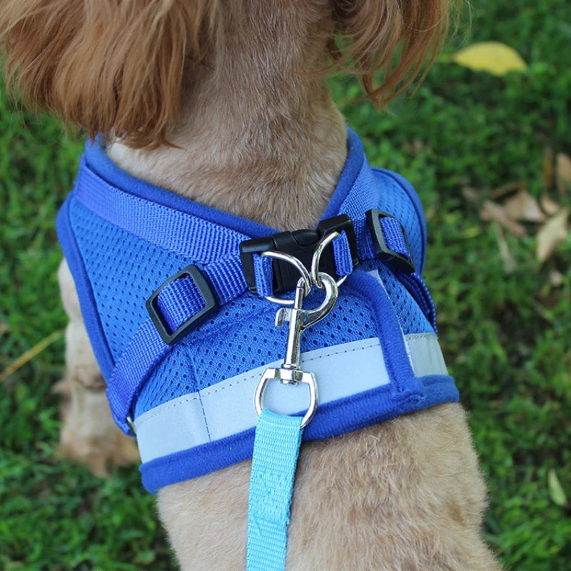 Pet Breathable & Harness Escape Coat