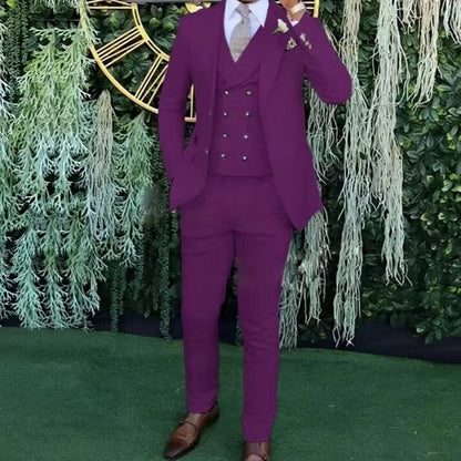 Weddings & Business Men's Slim Fit 3-Piece Suit