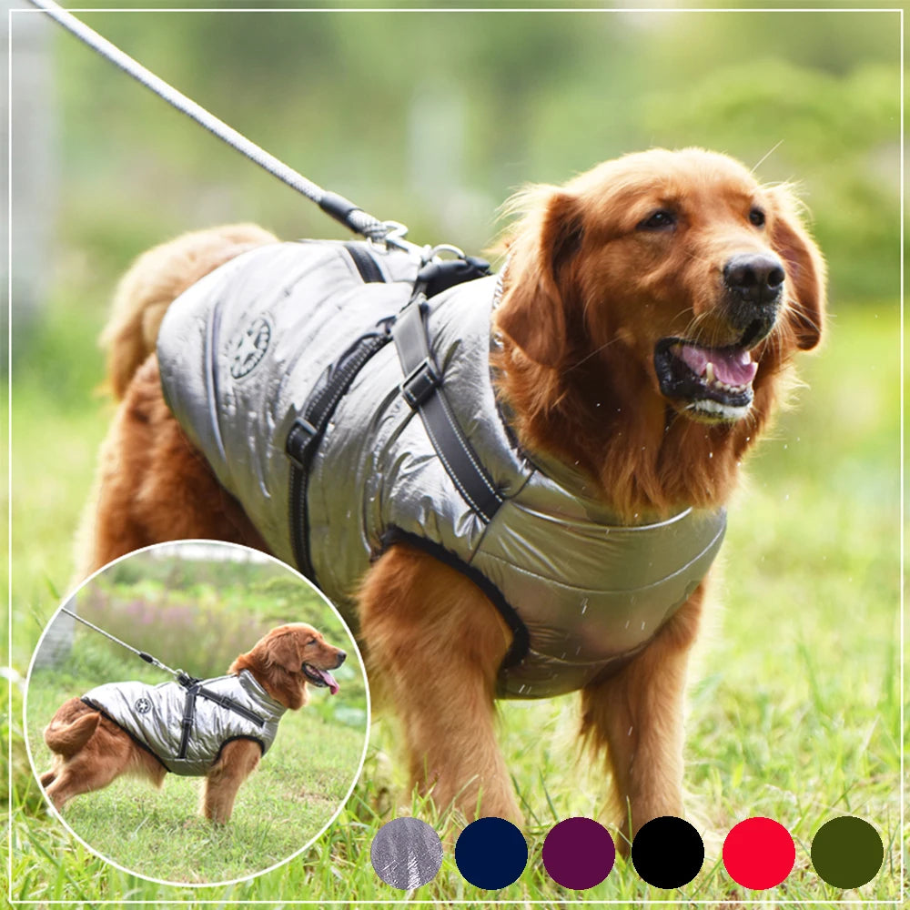 Veste pour grand chien de compagnie